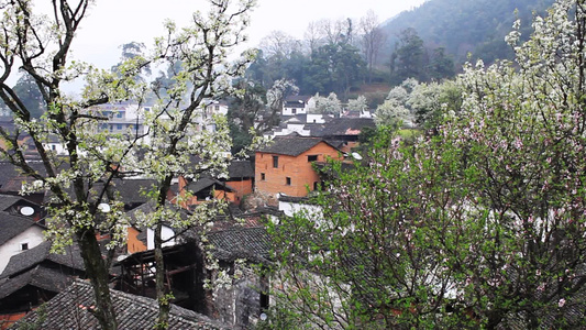 中国美丽的老村庄视频