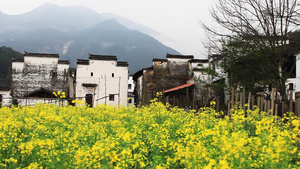 中国美丽的村庄婺源10秒视频
