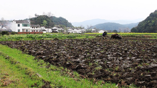 农民在村庄耕地[农耕地]视频