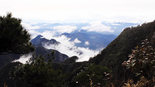 山间的云层[溪涧]视频