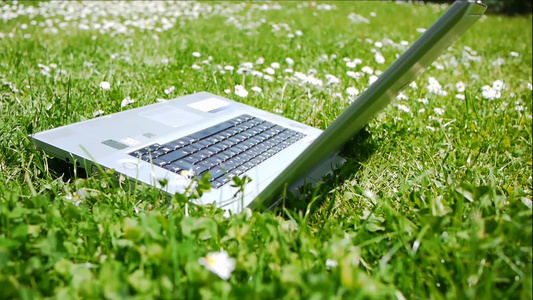 在草地上的笔记本电脑视频