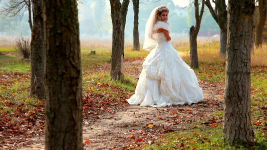 新娘在秋天的公园散步[遛弯儿]视频
