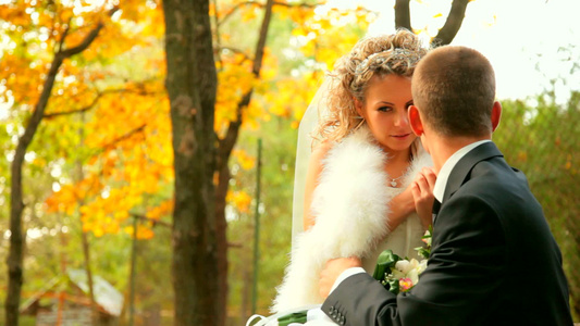 新娘和新郎坐在秋天公园的长凳上视频