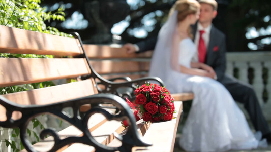 新娘和新郎坐在公园的长凳上视频