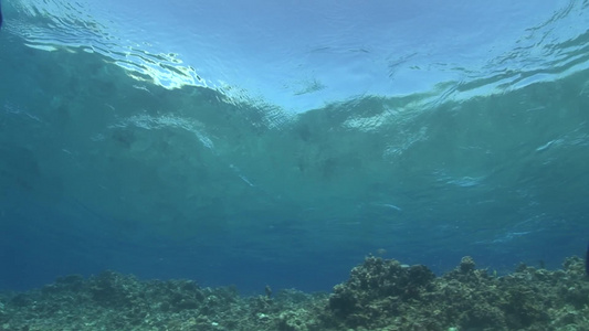 潜水海底世界拍摄视频