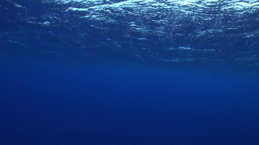 海底的海浪视频