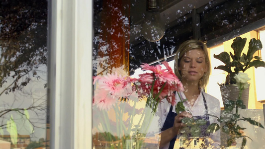 女孩在花店整理花束视频