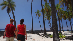 一对夫妇来到夏威夷的一个美丽的棕榈树岸边15秒视频