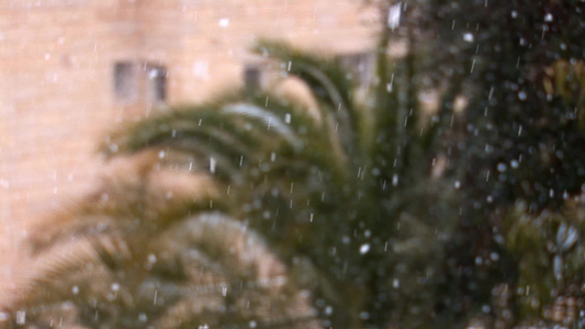 耶路撒冷的雪[约旦河西岸]视频