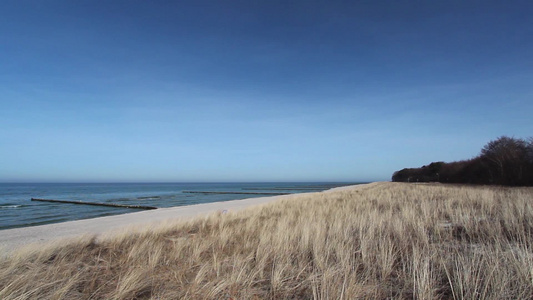 波罗的海海滩沙丘和草地挥动视频