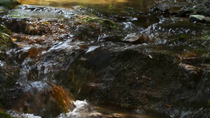 布满苔藓的岩石和瀑布小溪22秒视频