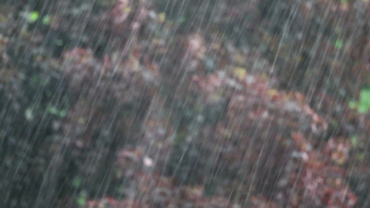 下着大雨[暴雨如注]视频