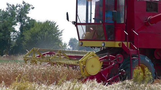 联合收割机在小麦领域工作视频