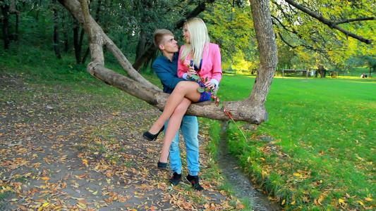 秋天公园里的一对年轻夫妇[夫妇俩]视频