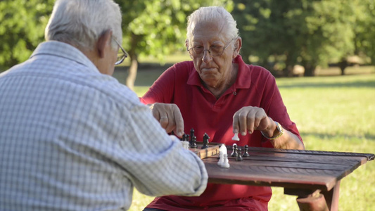 下棋的老年人[手谈]视频