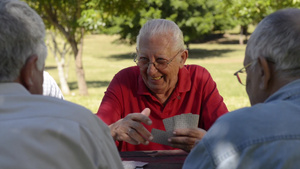 退休老年人空闲时间在公园玩游戏25秒视频