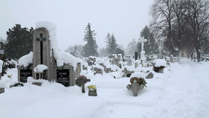 雪冬墓地18秒视频