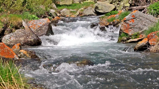 美丽的河流细节在食人鱼（西班牙）视频