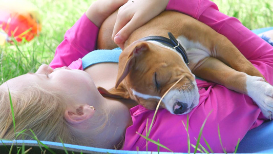 小女孩带着小狗躺在草坪上睡觉视频
