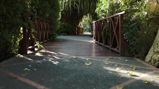 穿过棕榈棚下的一座木桥和通往房子的小路视频