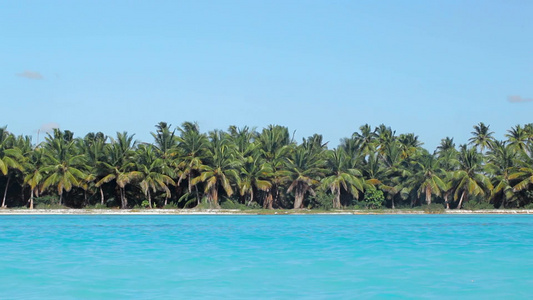 美丽的岛屿和棕榈树视频
