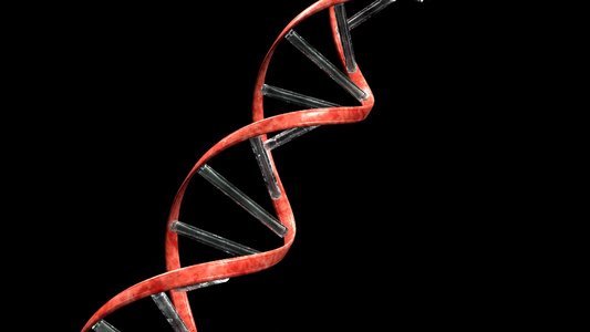 重组的DNA螺旋视频