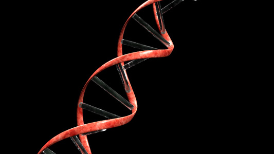 旋转的DNA螺旋[碱基]视频