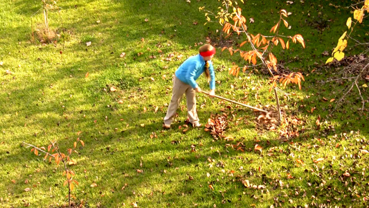 少女清洁花园里的叶子视频