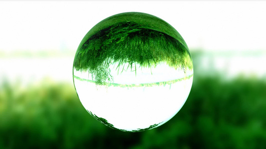 倒映着绿色植物的透明球体视频