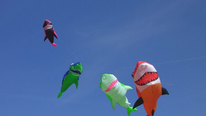 鲨鱼形状的风筝18秒视频