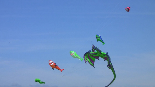 鲨鱼和龙等形象的风筝视频