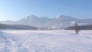 阿尔卑斯山雪景6秒视频