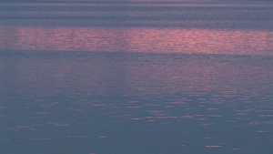 夕阳下的海面7秒视频