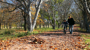 在秋天的公园里父亲教他儿子骑自行车23秒视频