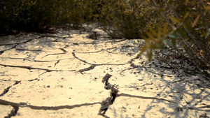 沙漠地带干裂的地面21秒视频