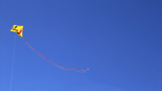 在天上的飞舞的风筝视频