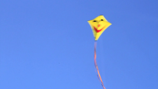 蓝天下飞翔的风筝视频