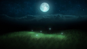 月光下在草原上飞舞的萤火虫18秒视频
