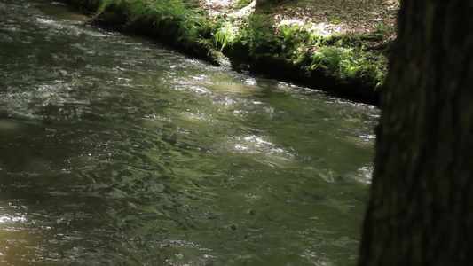 流淌的湖水视频