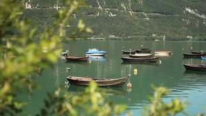 景深手法拍摄自然湖泊小船和树叶7秒视频