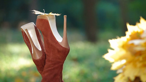 秋天公园草地女性高跟鞋倒立特写12秒视频