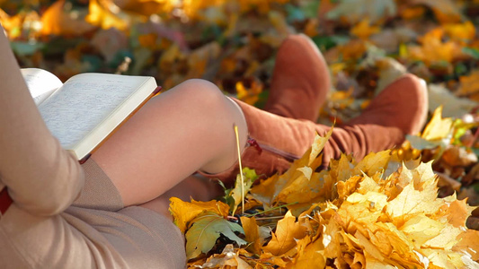 秋季公园的女学生阅读书籍特写视频