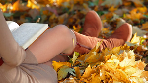 秋季公园的女学生阅读书籍特写14秒视频