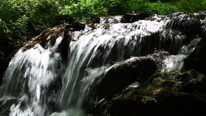 山间流淌的溪水20秒视频