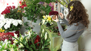 花店里整理花的女人24秒视频