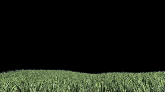 绿色草地背景视频视频