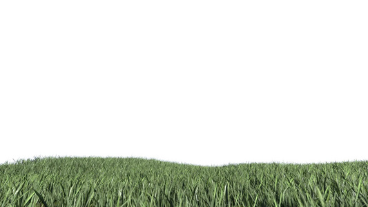 草地在白色背景动画抠像视频