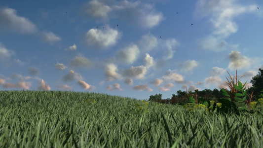 绿色的草地乡村的风景视频