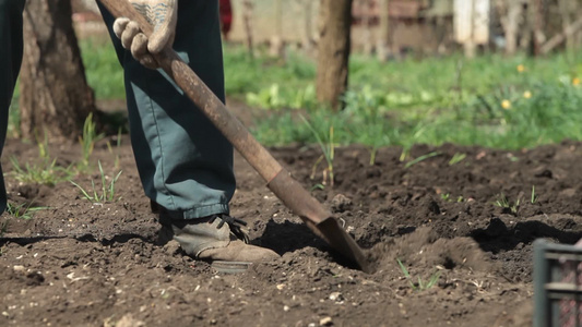 园丁在小农松疏土壤视频