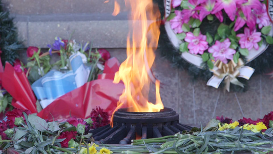 祭奠英雄[阿轲]视频